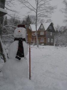 Tips for Staying Healthy Through the Winter Image